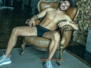 Hamermusk