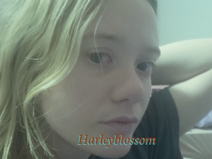 Harleyblossom
