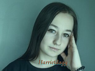 Harrietdagg