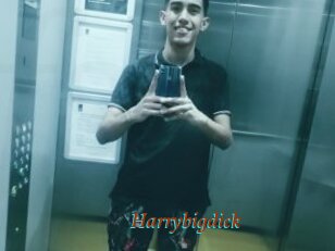 Harrybigdick