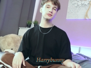Harrybunny