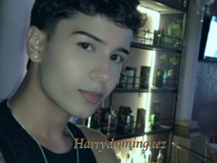 Harrydominguez