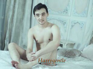 Harrygentle