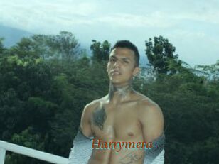 Harrymera