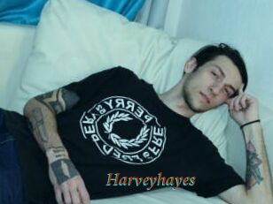 Harveyhayes