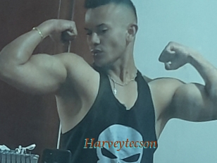 Harveytecson