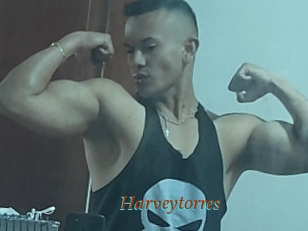 Harveytorres