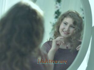 Hidetreasure