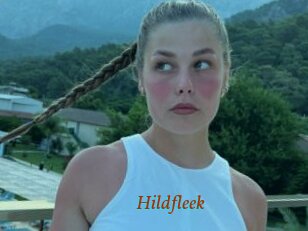 Hildfleek