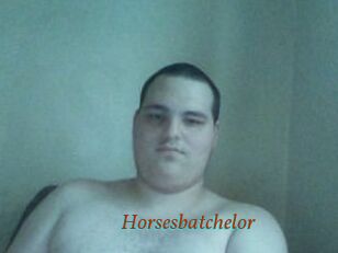 Horsesbatchelor