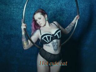 Hot_cute_cat