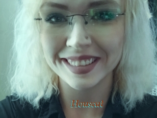 Houscat