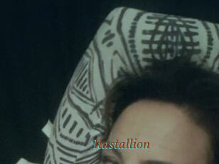 Itastallion