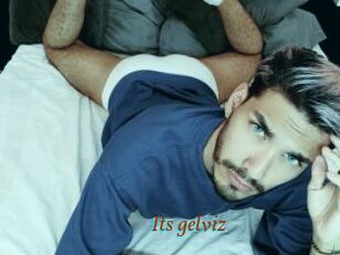 Its_gelviz