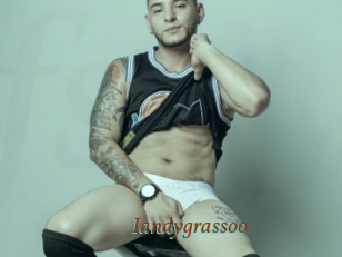 Iandygrassoo
