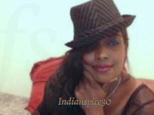 Indianspice30