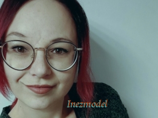Inezmodel
