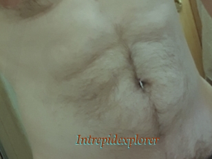 Intrepidexplorer