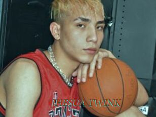 JHESUA_TWINK