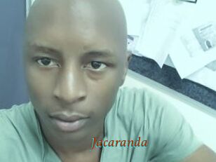 Jacaranda