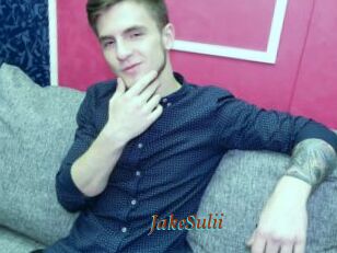 JakeSulii