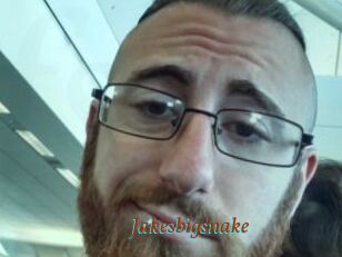 Jakesbigsnake