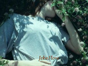 JekaFlow