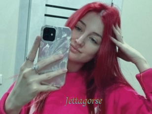 Jettagorse