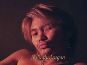 Jinjinthedragon