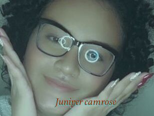 Juniper_camrose