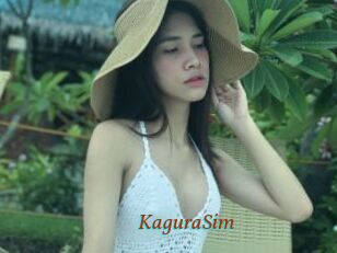 KaguraSim