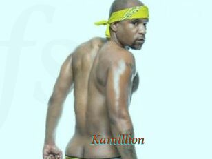 Kamillion