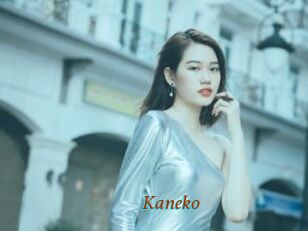 Kaneko