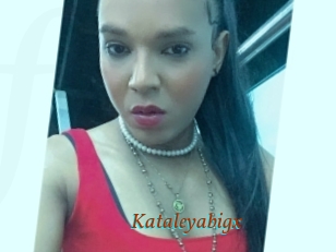 Kataleyabigx