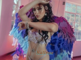 Kattrose