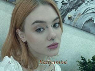 Kattyamini
