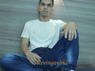 Kevingaviria
