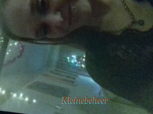 Kleinebeheer