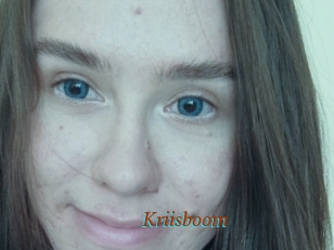 Kriisboom