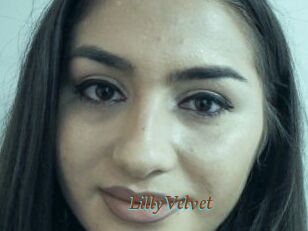 LillyVelvet