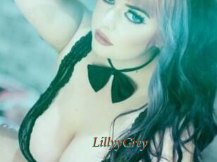 LillyyGrey