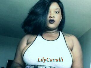 Lily_Cavalli