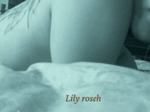 Lily_roseh