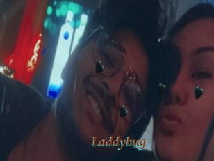 Laddybug
