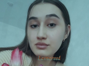 Lamareed