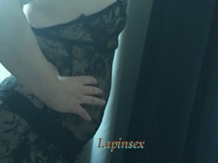 Lapinsex