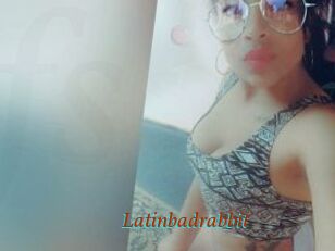 Latinbadrabbit