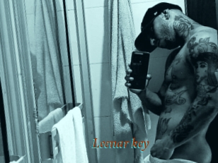 Leenar_key