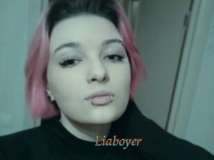 Liaboyer