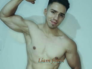Liam_forest